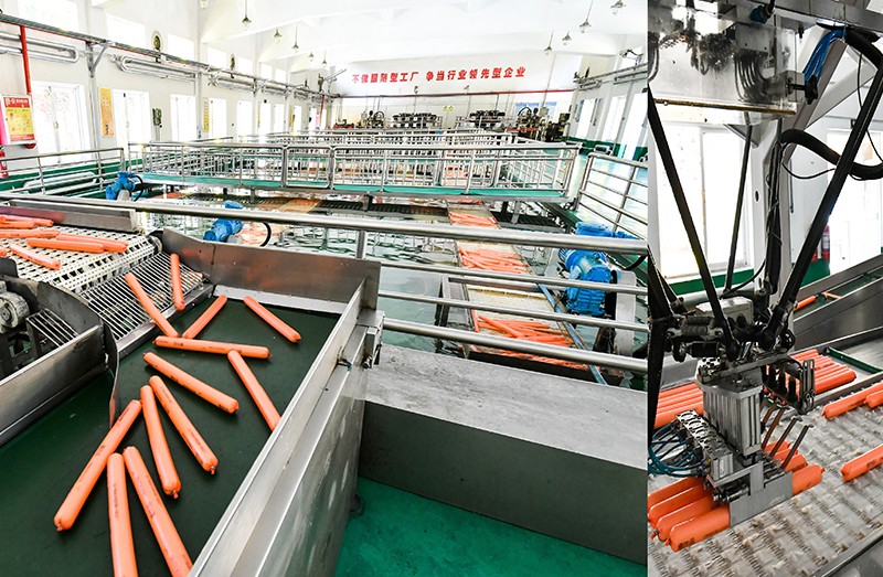 世界先进水平胶装乳化炸药生产线